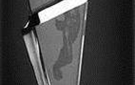 Image for Iota Beta named NIC Chapter of Distinction