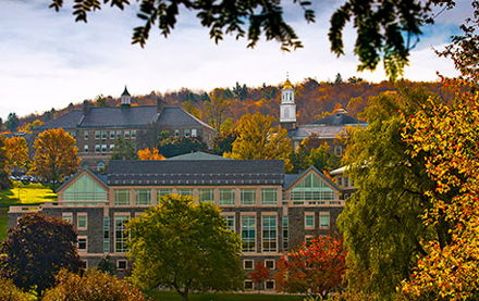 Image for In the Light: Matt Zee