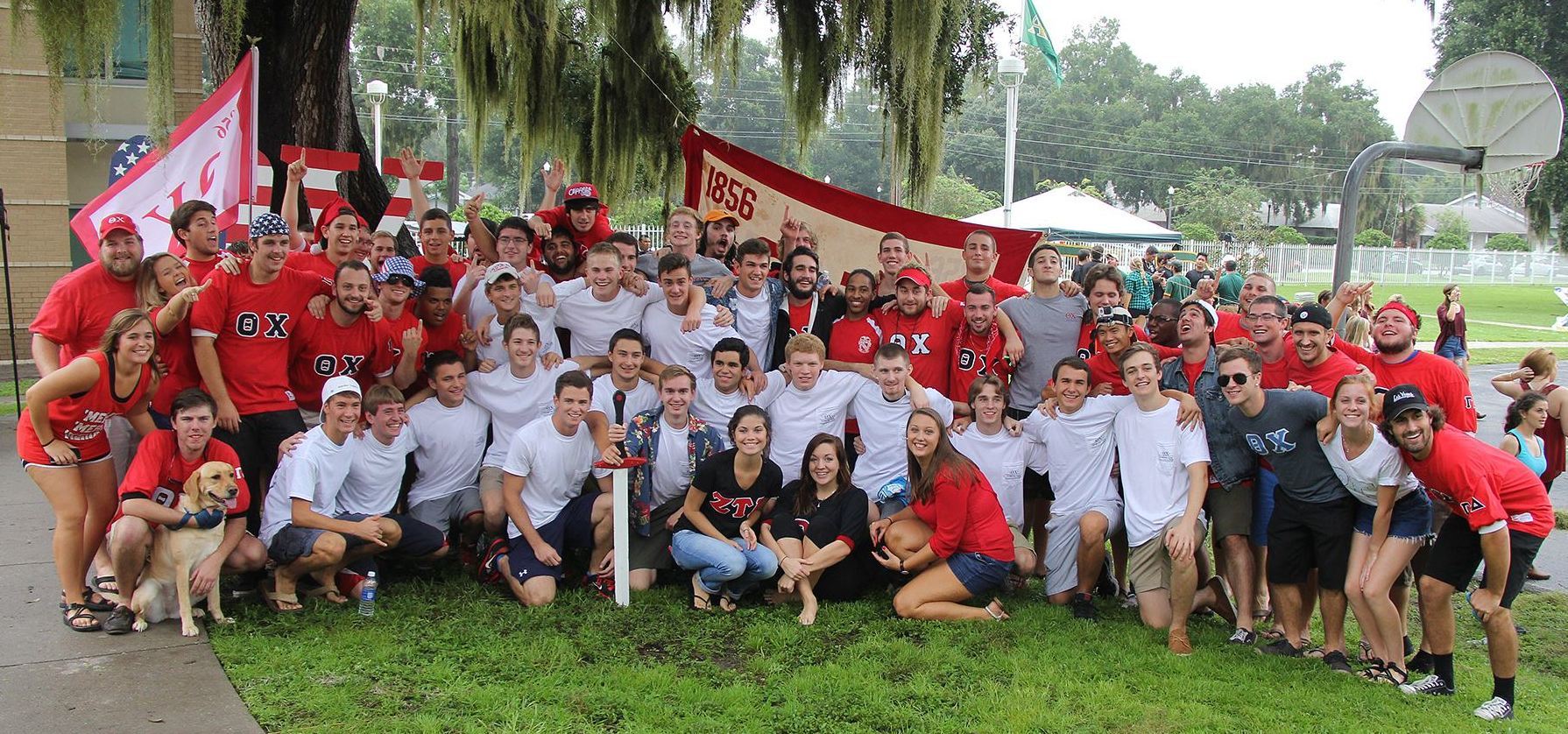 Gamma Delta Image for Gamma Delta