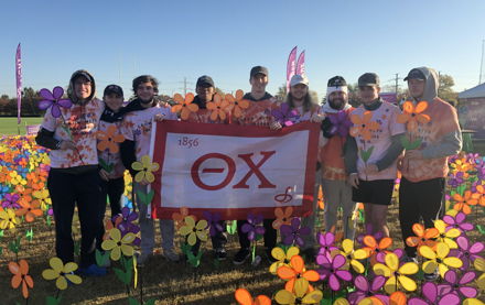 Image for Iota Lambda Walks to End Alzheimer’s