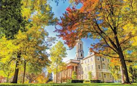 Image for The Artistic Chemist